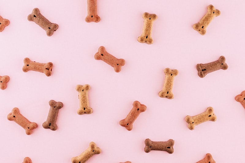 PawFood Freeze-Dried Raw Dog Treats — Single Ingredient, 100% Natural